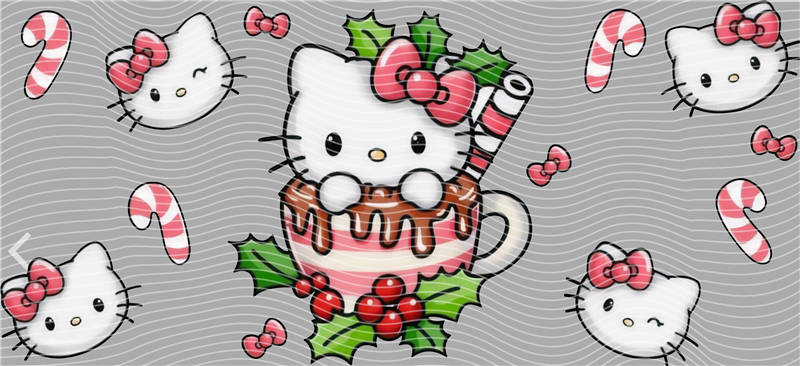 16oz Sanrio-K 353